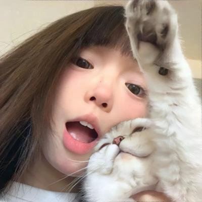 粉色樱与大眠王 海报